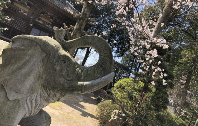 こども園にも春が近づいてきました