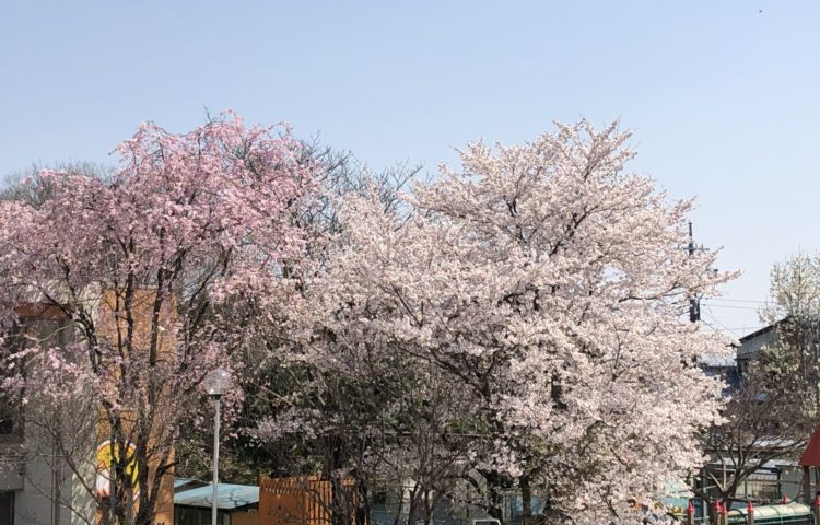 入園式