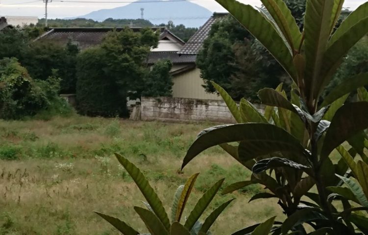 筑波山が見えるよ