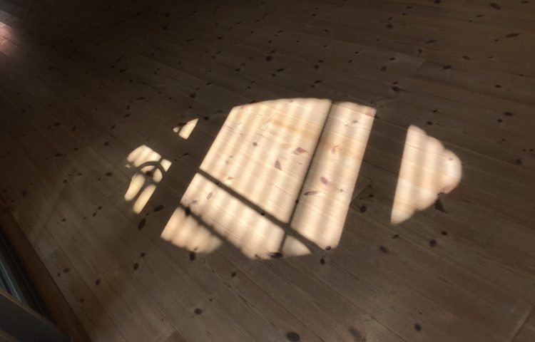 影、影　なんの影？