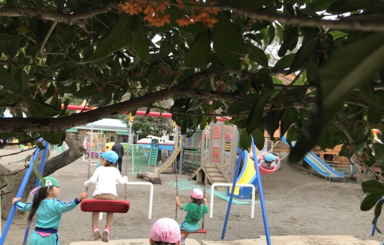 今日は運動会振替休日でした