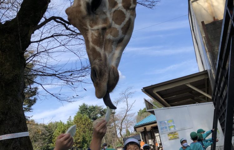 遠足「宇都宮動物園」年長・年中組
