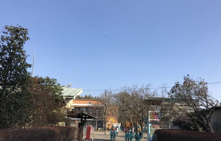 春の陽気でポカポカ