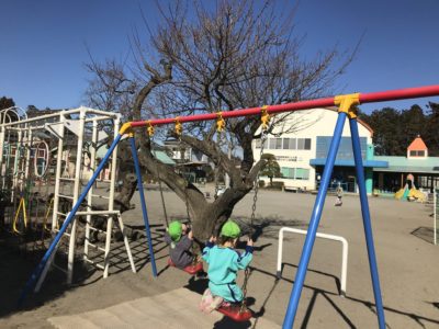 とっても気持ちの良い天気 真岡ひかり幼稚園からのニュース トピックス
