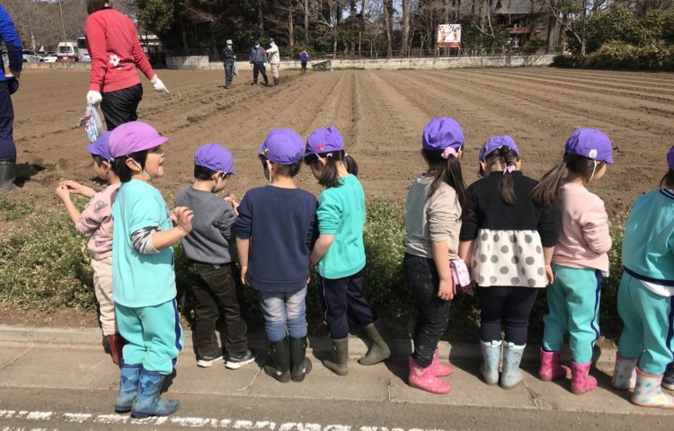 【ジャガイモの種まき】