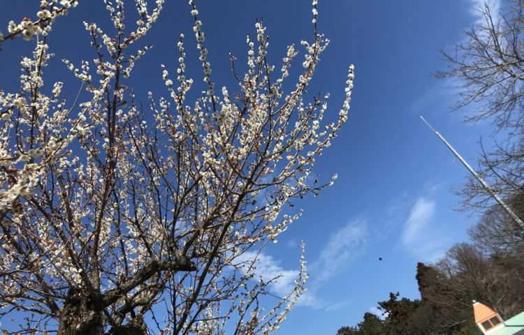 お拝り