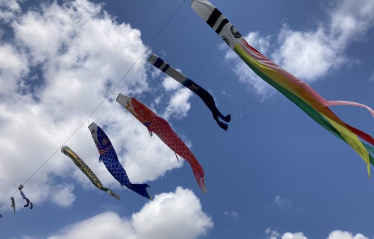 【鯉のぼりも気持ちよさそう】