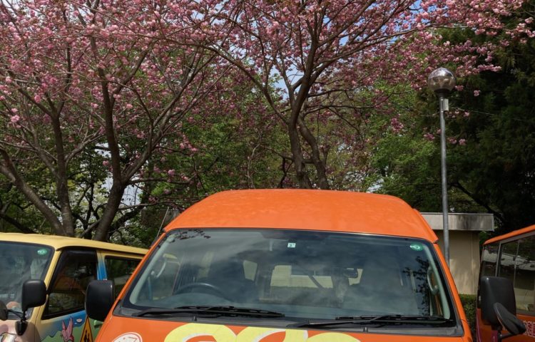 【元気に過ごしています】