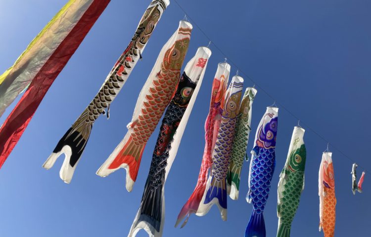 【鯉のぼりの１日🎏】