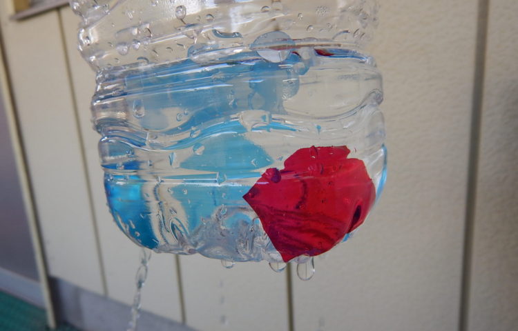 未就園児教室：水遊びおもちゃ作り