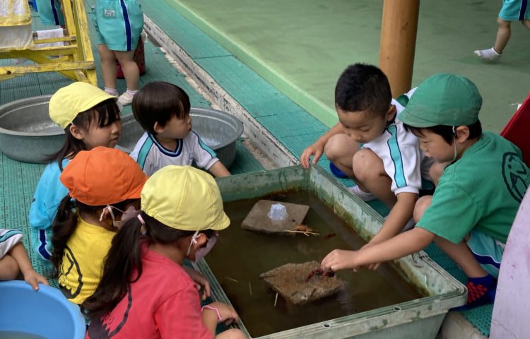 みんなの人気者！/カワイ体操