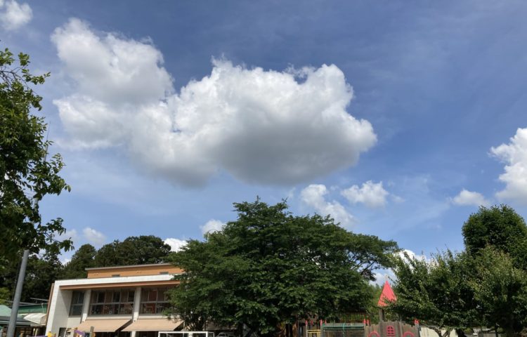 【青空の下には】