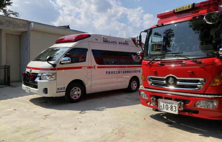 【梅の実とりと園内研修２日目】