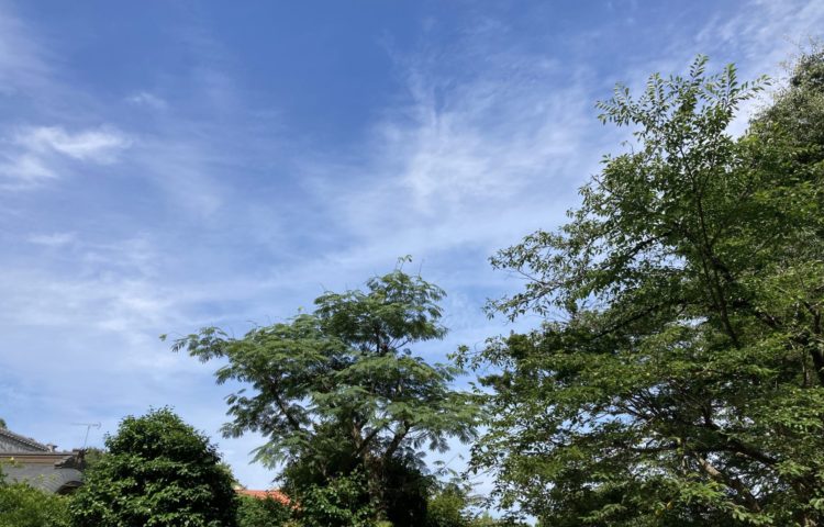 【梅雨の晴れ間】