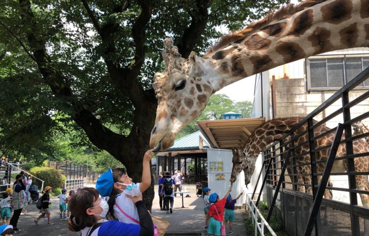 【宇都宮動物園に行ってきました】