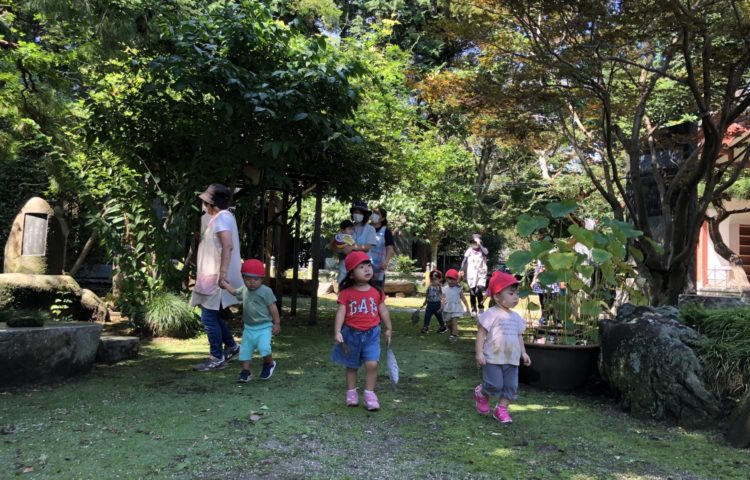 【久しぶりの太陽サンサン】