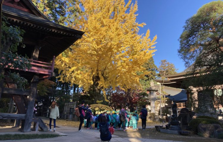 【年長組の卒業遠足】