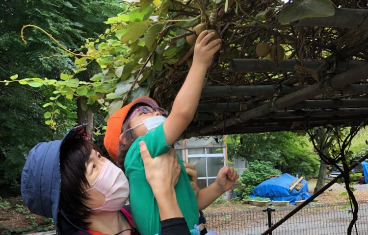 【園内散策🥝しました】
