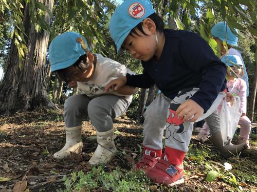 【秋を見つけにお散歩です🍁】