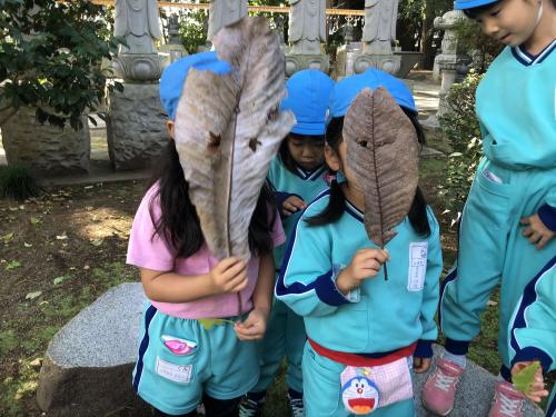 【小さい秋みーつけた🍁🍁】