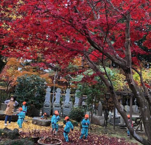【秋は楽しいね🍁】