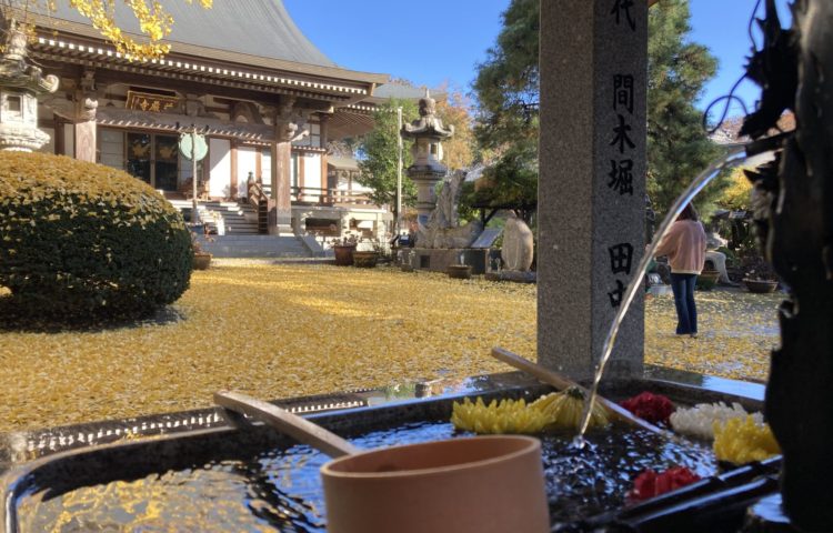 【そうだ　荘厳寺へ行こう🍁🍁】