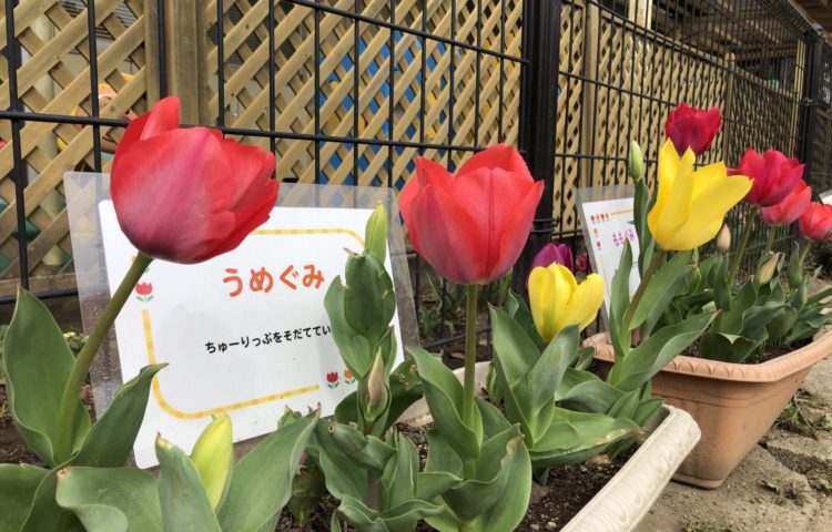 【今日から春休み🌸🌸】
