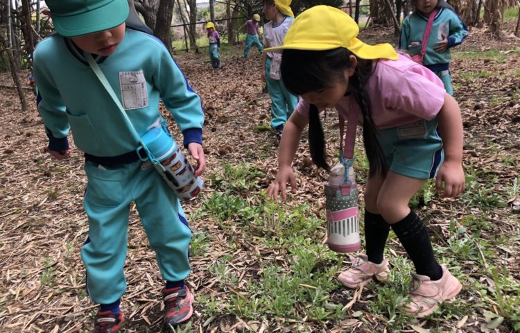 【裏山には何があるのかな】