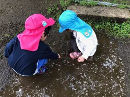 雨上がりの散歩