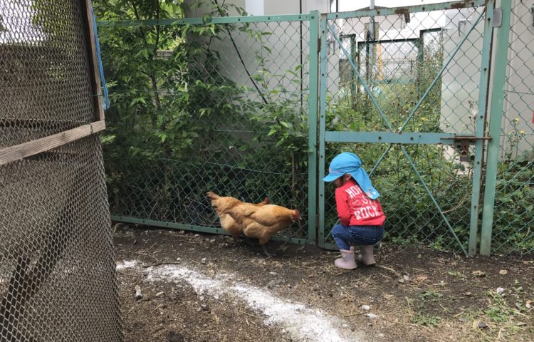 動物さんもみんな仲良し♡