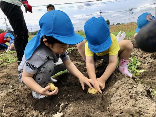 【じゃがいもほり🥔🥔】