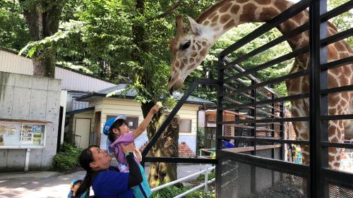 【🦒動物園に行ってきました🐘】