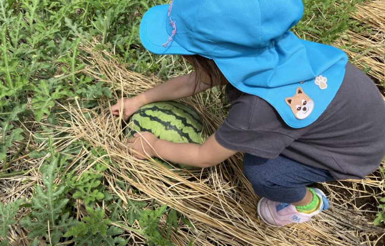 【夏はあつぞ！！！！】