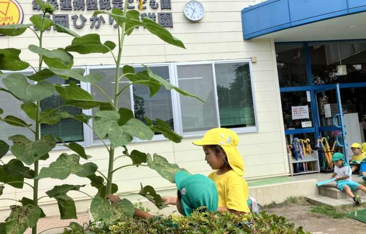 【今日も暑かった🌞】