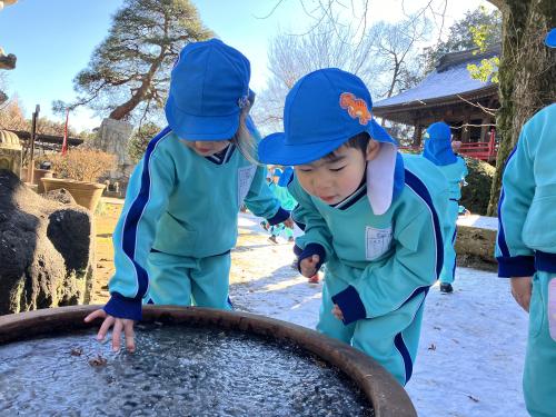 【雪と氷☃️❄️と仲良し】