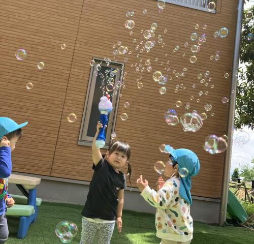 【今日は太陽がサンサン🌞】
