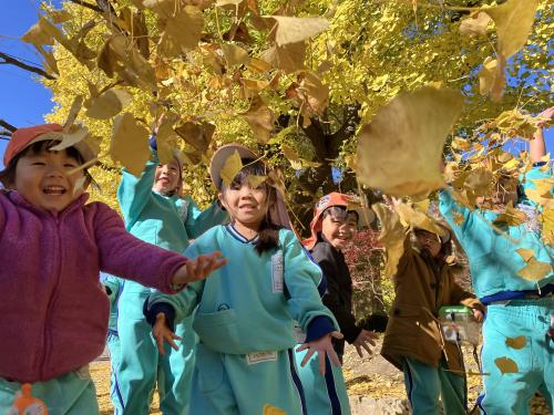 【自然がいっぱい🍁🍂】