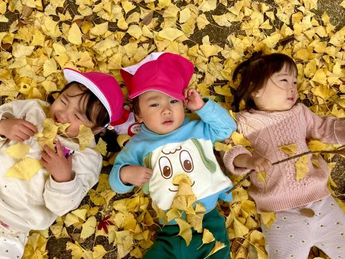 まだまだキレイです??】｜真岡ひかり幼稚園からのニュース、トピックス