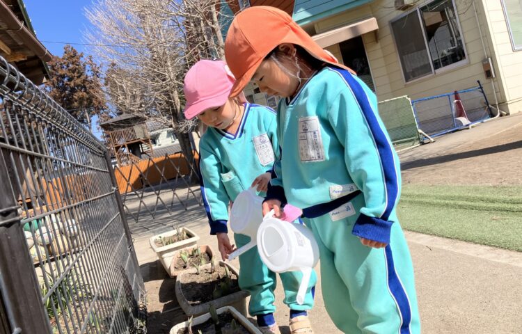 【もうすぐ春🌸】