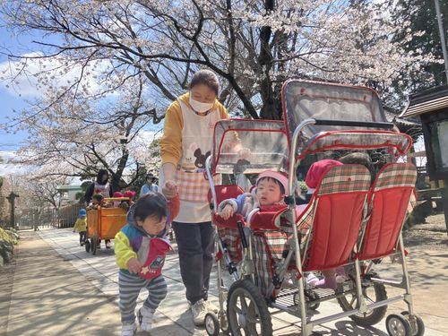 【太陽と青空と桜】