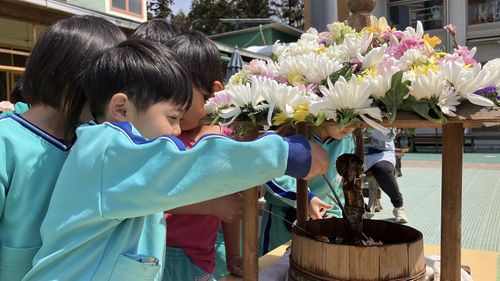 【花祭りと始業式】