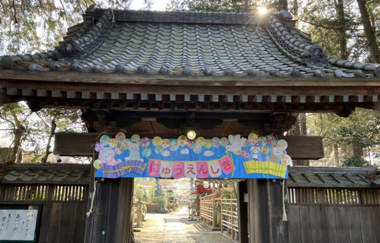 【入園式　おめでとう🎉】