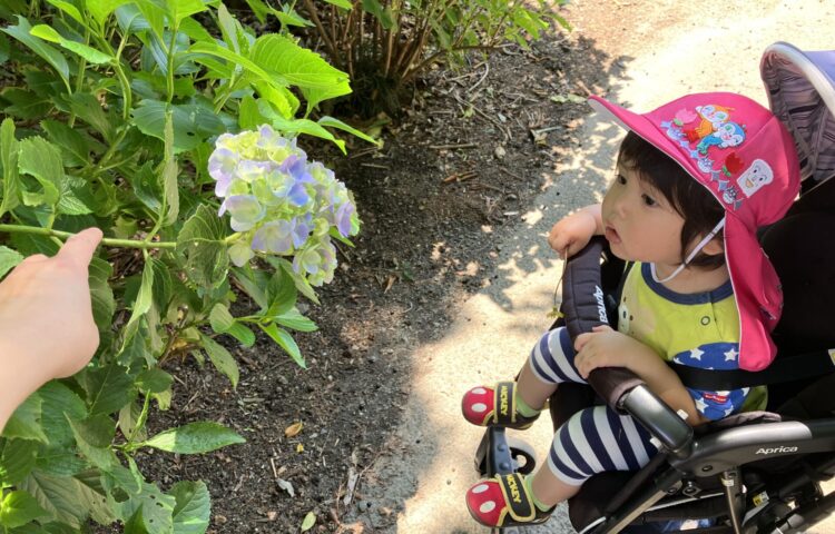 【賑やかな声の先には…♪】