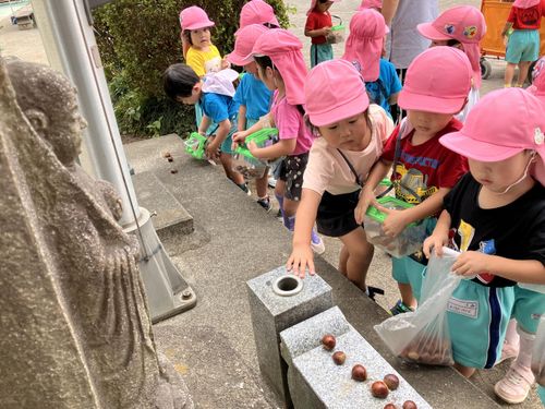 【小さい小さい秋みいつけた🌰】