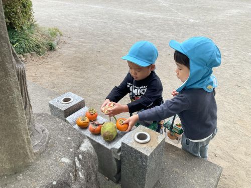 【収穫の季節です】