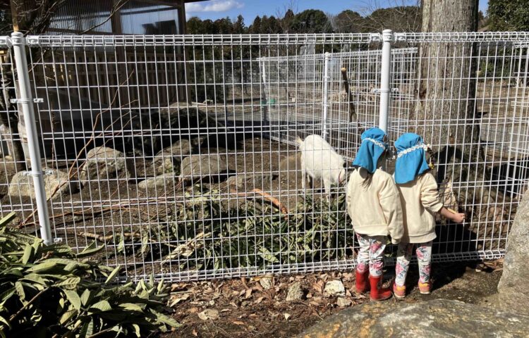 【生き物を大切に】