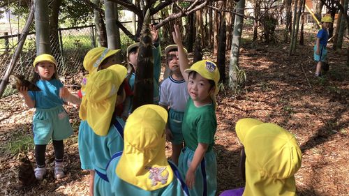 【ニョキニョキ】