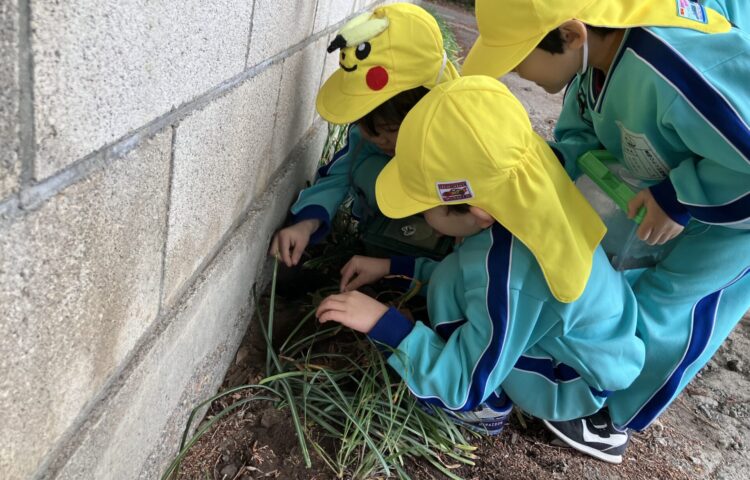 【発見👀】