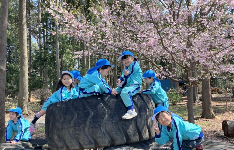 【🌸桜と一緒に🌸】