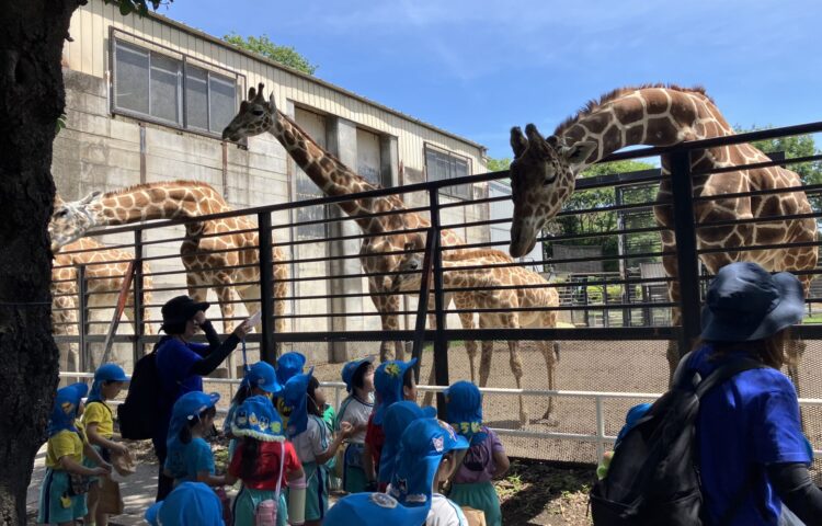 【🦒🦣🦁動物園遠足🦒🦣🦁】